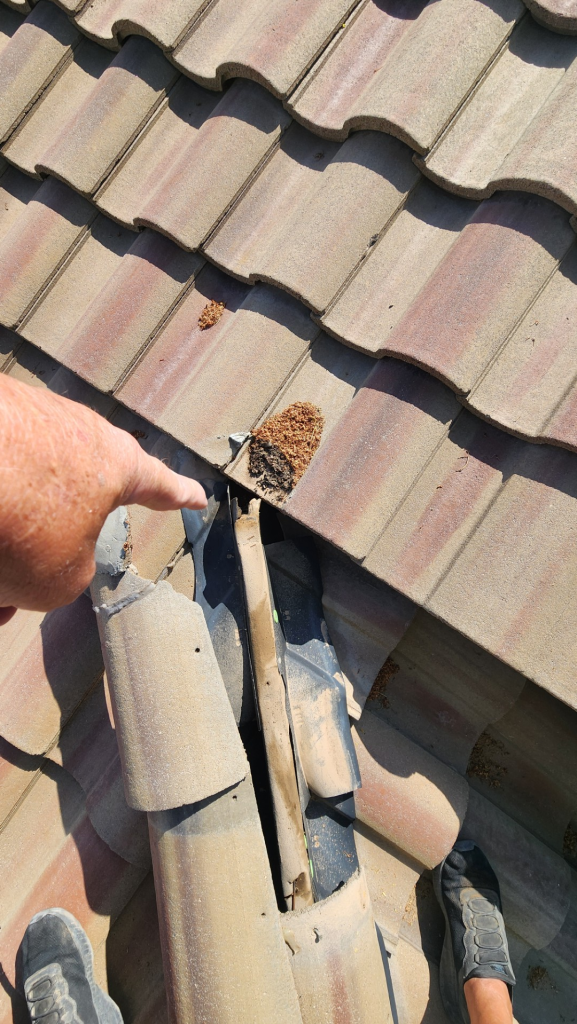 roof inspection in Phoenix Arizona identifying tile roof flashing failure